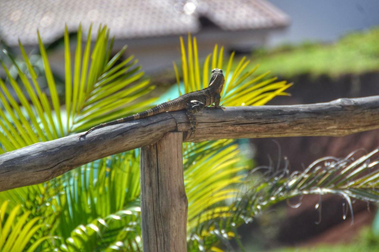 Playa Lagarto Eco Development Villa Paraíso Buitenkant foto